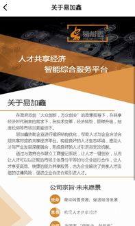 易加鑫 國內貿易代理的崛起與價值探索