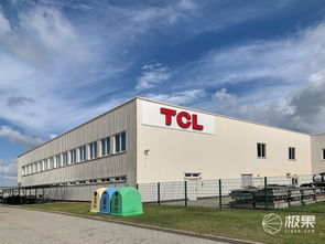 對話王成 TCL如何在2020年躋身歐洲前三，國內貿易代理又扮演何種角色？